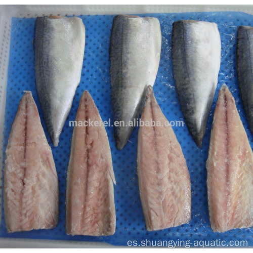 Precio de filete de caballa de pescado congelado de alta calidad
